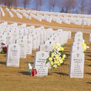 Abraham Lincoln National Cemetery