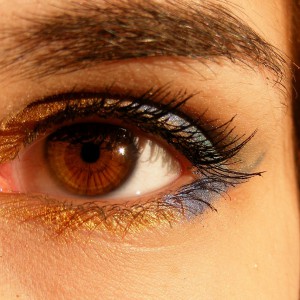 brown-518324_1280