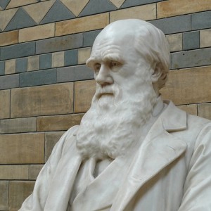 darwin