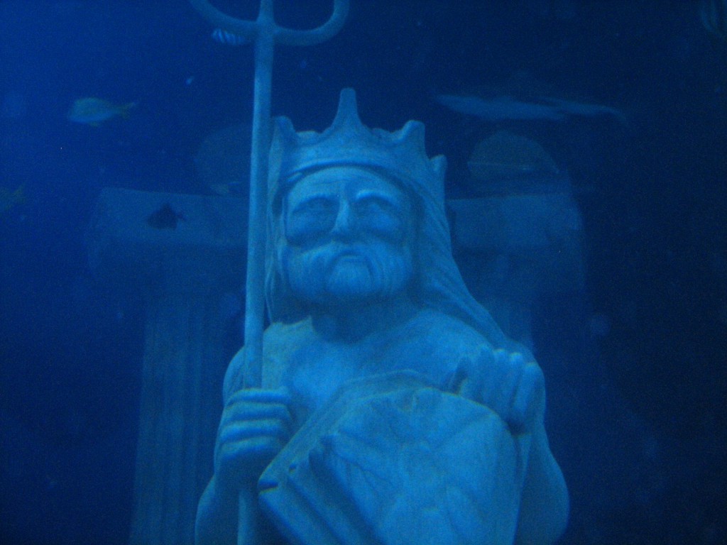 sealifeaquarium27-67531